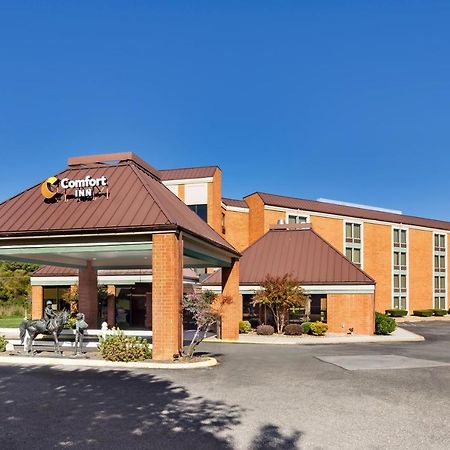 Comfort Inn Virginia Horse Center Lexington Eksteriør bilde